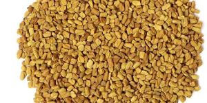 Fenugreek Seed