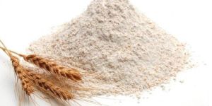 Wheat Flour