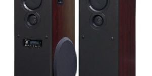 DM-9090BT Signature Series Tower Speaker