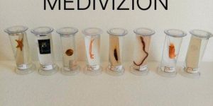 Biology Specimens