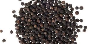 Black Pepper Seeds