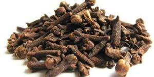 Clove Pods