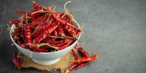 Guntur Dry Red Chilli