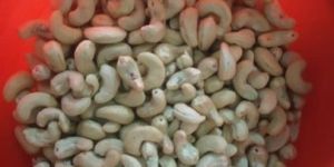 W320 Cashew Nuts