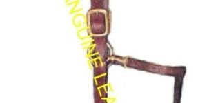 Leather Halters