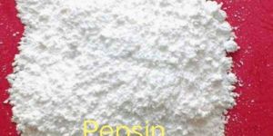 Pepsin Powder