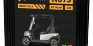 Golf Cart Battery