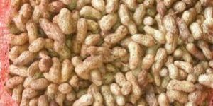 Groundnuts