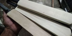 MINITURE AUTOGRAPH CRICKET BAT