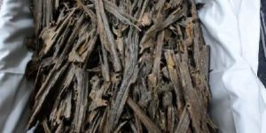 Agarwood Chips