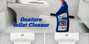 Toilet Cleaner
