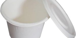 Biodegradable Bagasse 500ml Container with Lid - VARSYA