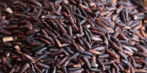 Black Rice