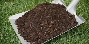 Cow Dung Organic Manure