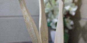 Bamboo Toothbrush