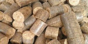 Biomass Briquettes