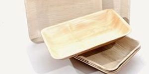 Eco-Friendly Disposable Cutlery