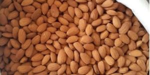 American Almond Nuts