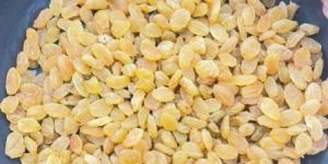 Round Golden Raisins