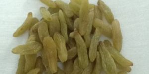 Long Green Raisins