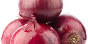 Fresh Red Onion
