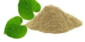 Giloa Guduchi Powdar