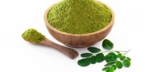 Moringa Leaf Oleifera