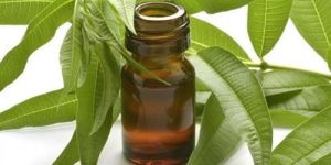 Citronella Essential Oil