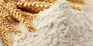 Wheat Flour