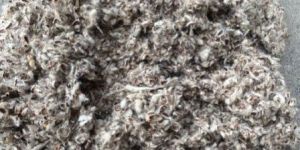 Cotton Seed Hull
