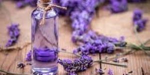 Lavender Essential Oil