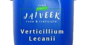 Verticillium Lecanii