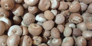 Dried Betelnut