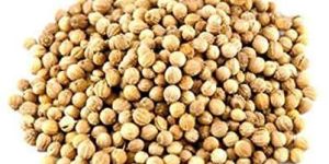 Coriander Seeds