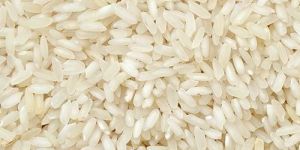 Short Grain Basmati Rice