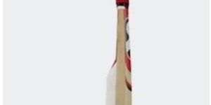 Cricket SG Catch Bat