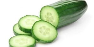 Fresh Cucumber