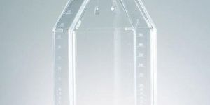 Cell Culture Flasks
