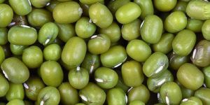 Mung Beans