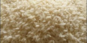 IR 64 Raw Rice