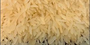 Sharbati Golden Sella Basmati Rice