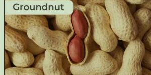 Shelled Groundnuts