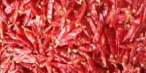 Dried Teja Red Chilli