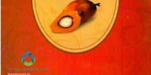 Refined Palm Kernel Oil