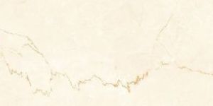 Classic Botto Porcelain Floor Tiles