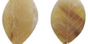 Attractive Buffalo Natural Horn Brass Hook Earrings