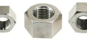 SS Hex Nuts