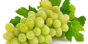Fresh Green Grapes