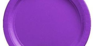 Disposal Medium Size Paper Plate