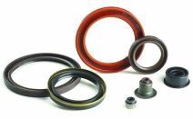 Oil Seals